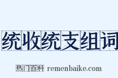 统收统支组词是什么意思的图片